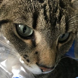 Meet your Posher, Evania